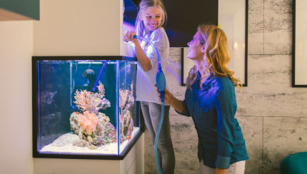 TITLE_IT_IT does not exist